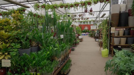 Téléchargez les photos : Aménagement intérieur dynamique du magasin Flower Shop, commerce de détail de jardinage horticole local - en image libre de droit