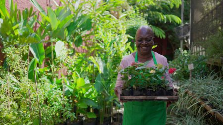 Foto de Alegre horticultora experimentada jardinera senior llevando canasta de parcelas de plantas en el patio trasero de Flower Shop - Imagen libre de derechos