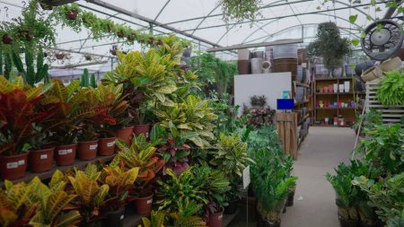 Foto de Tiro de seguimiento de la tienda de suministros de jardinería, Interior de la tienda de flores en el ambiente de la horticultura - Imagen libre de derechos