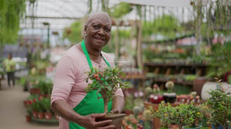 Foto de Un personal negro de mujeres mayores sosteniendo una pequeña planta de pie dentro de la tienda de horticultura. Una audaz empleada senior brasileña de una tienda local de pequeñas empresas - Imagen libre de derechos