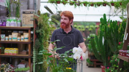 Téléchargez les photos : Jeune homme achetant des fleurs et des plantes avec chariot au magasin d'horticulture. Plan de suivi de la personne rousse à la recherche de produits au jardinage entreprise locale - en image libre de droit