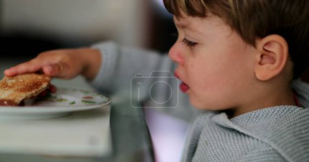 Téléchargez les photos : Enfant sortant de table portant un toast dans une assiette - en image libre de droit
