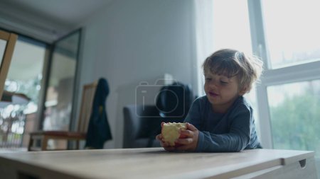 Téléchargez les photos : Petit garçon mangeant des pommes enfant mange une collation saine - en image libre de droit