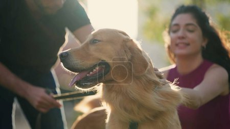 Téléchargez les photos : Les propriétaires d'animaux caressant leur chien Golden Retriever assis à l'extérieur du parc pendant la lumière du soleil - en image libre de droit