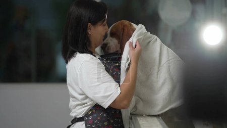 Foto de Tienda de Mascotas Groomer cuida de Beagle después del baño / Empleada lleva perro envuelto en toalla listo para el secado - Imagen libre de derechos