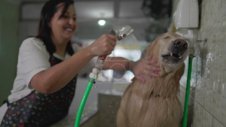 Foto de Feliz empleada de Pet Shop lavando inquieto Golden Retriever Dof con cabezal de ducha - Imagen libre de derechos