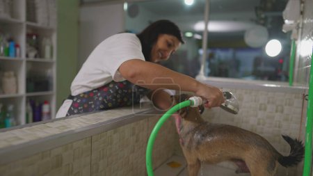 Foto de Joyful Female Employee baño pequeño perro dentro de la tienda de mascotas. Mujer brasileña lavando mascotas en negocios locales - Imagen libre de derechos