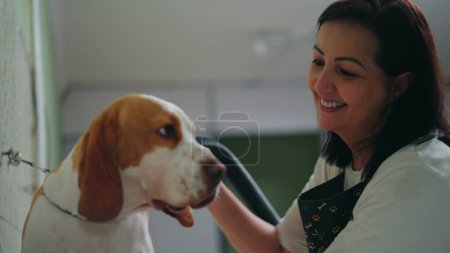 Foto de Mujer feliz secando Perro Beagle dentro de Pet Shop negocio local. Alegre empleado brasileño seca perro compañero con secador de pelo - Imagen libre de derechos