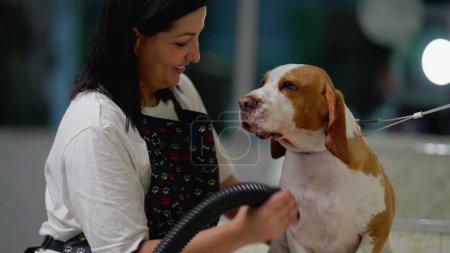 Téléchargez les photos : Chien de séchage joyeux employé à Pet Shop. Femme toilettage Beagle Canine Companion - en image libre de droit