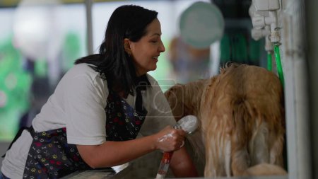 Téléchargez les photos : Femme se baignant Grand chien à Pet Shop. Travail professionnel de femme Employé lavage Golden Retriever - en image libre de droit