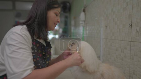 Téléchargez les photos : Employé du toiletteur pour animaux de compagnie chez Pet Shop Trims and Grooms Chien fourrure - en image libre de droit