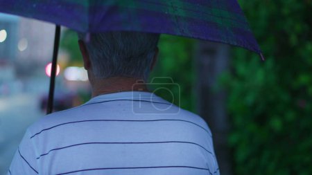 Téléchargez les photos : Dos de l'homme âgé marchant dans la rue tenant un parapluie pendant la journée de pluie. personne âgée mature se promener dans l'environnement urbain dans afternon sous la pluie - en image libre de droit