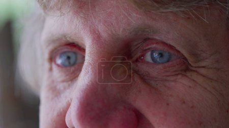 Photo for Smiling Senior Man Close-Up, Expression of Age and Wisdom in Wrinkles and Blue Eyes - Royalty Free Image