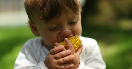 Foto de Lindo bebé comiendo mazorca de maíz afuera. Retrato del niño pequeño tomando un bocado de comida de maíz - Imagen libre de derechos