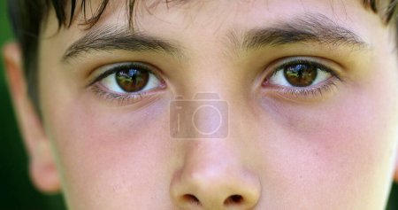 Photo for Child eyes looking to camera, macro close-up of young boy eyes staring to camera - Royalty Free Image