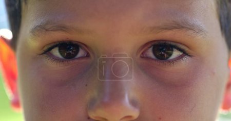 Photo for Young boy eyes looking to camera close-up. Child macro eye blinking. Kid face closeup - Royalty Free Image