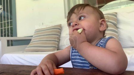 Téléchargez les photos : Bébé manger des légumes, bébé tout-petit mâcher de la nourriture tout en observant le monde - en image libre de droit