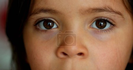 Photo for Little girls eyes staring camera. Close-up child eye - Royalty Free Image