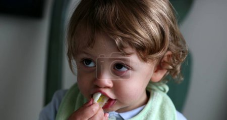 Foto de Child eating celery. Cute toddler boy eats healthy vegetable snack - Imagen libre de derechos
