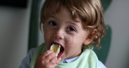 Téléchargez les photos : Child eating celery. Cute toddler boy eats healthy vegetable snack - en image libre de droit