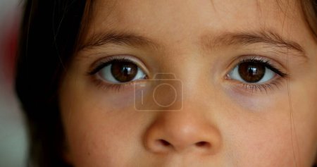 Foto de Little girls eyes staring camera. Close-up child eye - Imagen libre de derechos