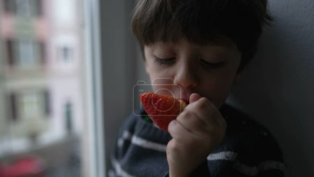 Foto de Niño comiendo fresa por ventana. Niño tomando un bocado de fruta nutritiva saludable - Imagen libre de derechos
