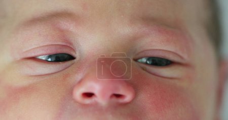 Téléchargez les photos : Close-up of newborn baby eyes and face - en image libre de droit