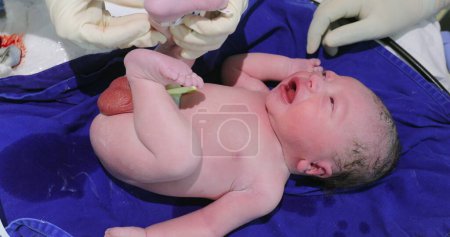 Photo for Infant baby first hours of life - Royalty Free Image