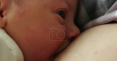 Foto de Lactancia materna bebé recién nacido, vista de cerca - Imagen libre de derechos