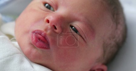 Téléchargez les photos : Close-up of baby face in first day of life - en image libre de droit