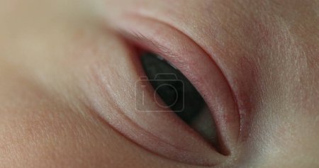 Téléchargez les photos : Close-up macro eye of newborn baby - en image libre de droit