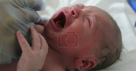 Photo for Infant newborn baby crying, first minutes of life - Royalty Free Image