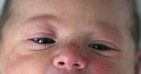 Foto de Infant newborn baby face and eyes in macro - Imagen libre de derechos