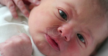Photo for Baby newborn portrait observing the world, first day of life - Royalty Free Image
