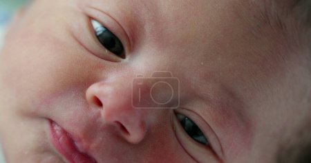 Foto de Primer plano cara bebé bebé después del nacimiento - Imagen libre de derechos