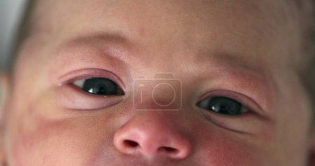 Photo for Close-up of newborn baby face in first day of life, macro closeup of infant eyes - Royalty Free Image