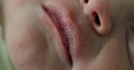 Photo for Closeup macro of newborn infant baby opening mouth - Royalty Free Image