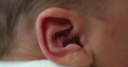 Photo for Close-up infant newborn baby ear macro - Royalty Free Image