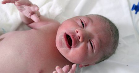 Téléchargez les photos : Infant newborn baby, close-up view - en image libre de droit