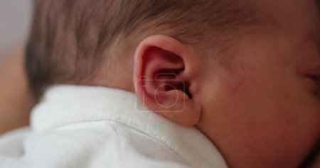Photo for Macro ear of newborn, close-up view - Royalty Free Image