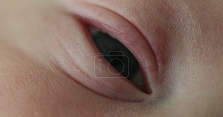 Téléchargez les photos : Macro close-up of newborn baby eye - en image libre de droit