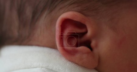 Photo for Newborn baby ear macro closeup - Royalty Free Image