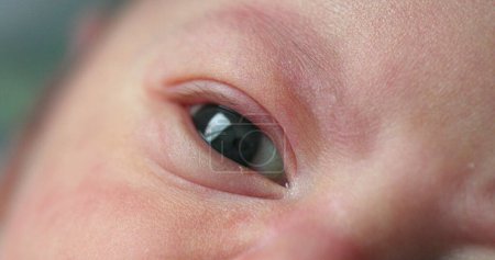Photo for Newborn baby eyes in macro - Royalty Free Image