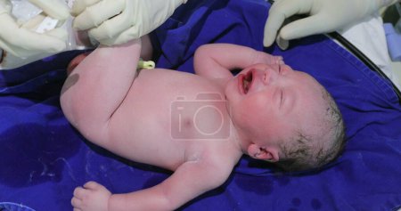 Photo for Newborn baby infant first minutes of life - Royalty Free Image