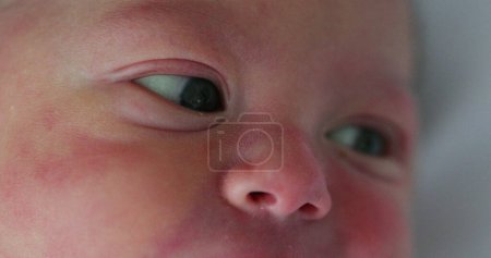 Téléchargez les photos : Newborn baby eyes in first day of life looking and observing - en image libre de droit