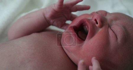 Foto de Newborn baby crying at hospital, first minutes of life - Imagen libre de derechos
