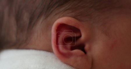 Photo for Newborn baby ear macro closeup - Royalty Free Image