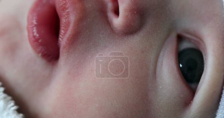 Téléchargez les photos : Macro close-up of newborn baby face - en image libre de droit