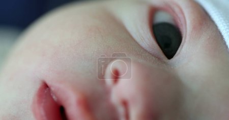 Photo for Macro closeup of newborn face, baby infant eyes nose and mouth - Royalty Free Image