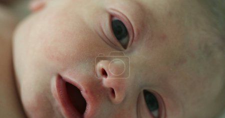 Téléchargez les photos : Newborn first day of life portrait - en image libre de droit